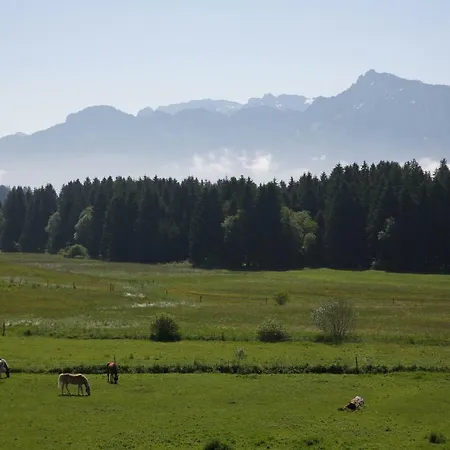 Daire Landhaus Seeblick Füssen